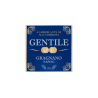 Pastificio Gentile Srl