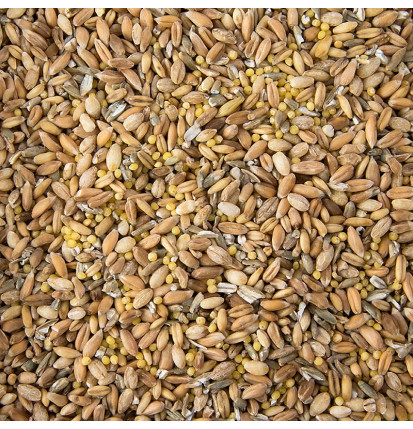 6 Korn Mischung Weizen, Roggen, Dinkel, Hafer, Hirse, Gerste, 1 kg