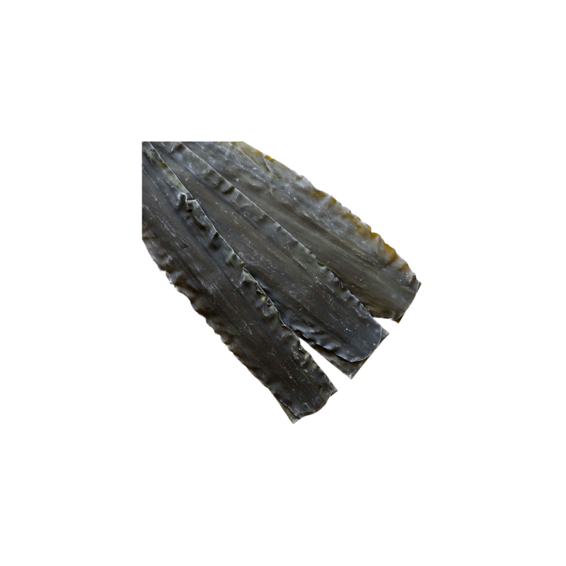 Wilde Shirokuchihama Ma Kombu Premium Algen Hokkaido seaweed / Algue